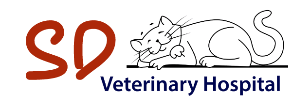 ABC Vets